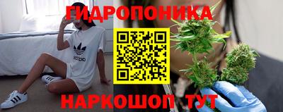 стаф Партизанск