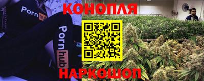 стаф Партизанск