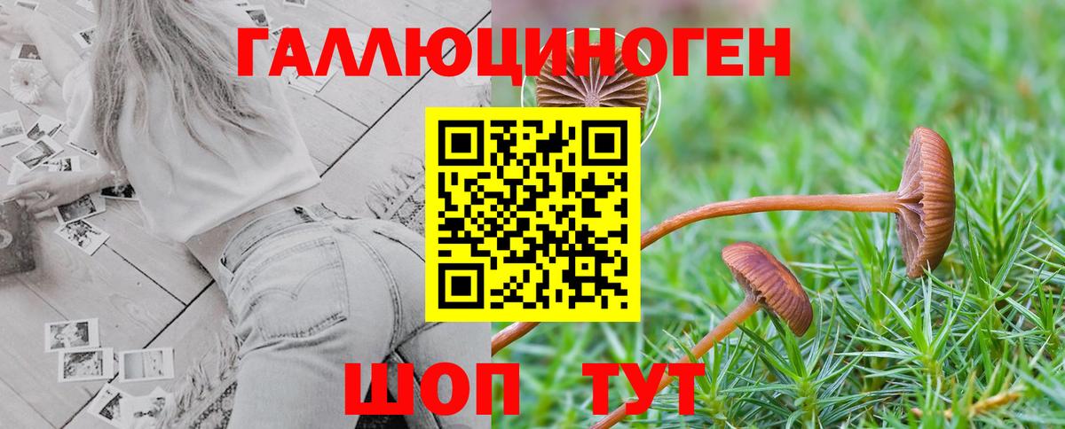 Симферополь  Псилоцибиновые грибы Magic Shrooms  Вход с VPN 